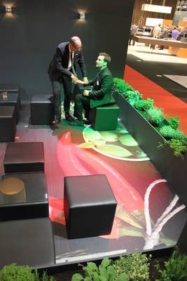 PVC Boden bedruckt   Fabrikat: Salifloor in 4060 Leonding mieten