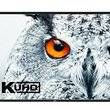 Nec multisync x981uhd