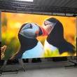 LEDitgo rXone 1,9mm LED Wand 450x250cm - 11,5qm in 26892 Lehe mieten